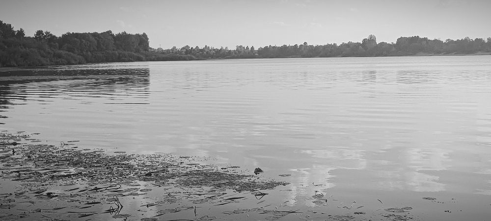 Photograph by Mishel Photographer