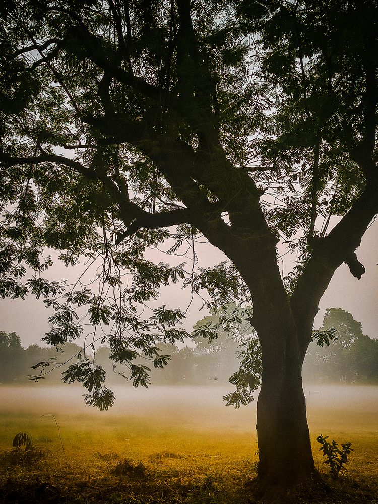 Photograph by Debayan Bhattacharya