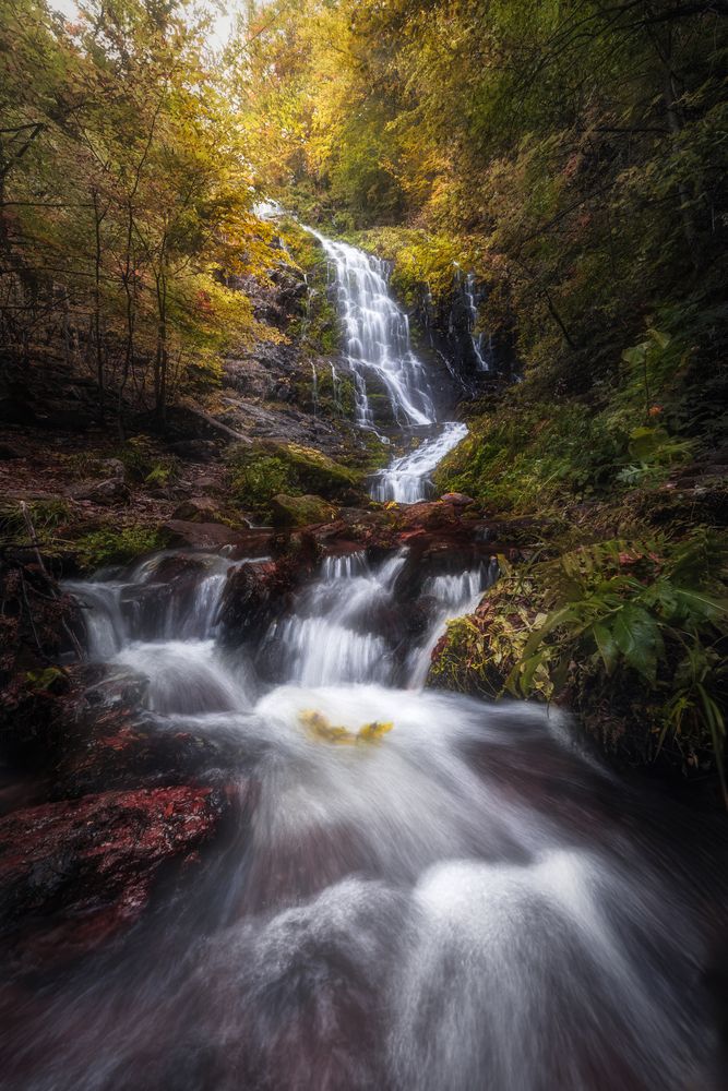 Photograph by Вукотић Никола