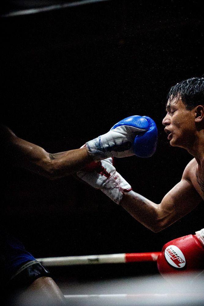 Strike from the Shadows