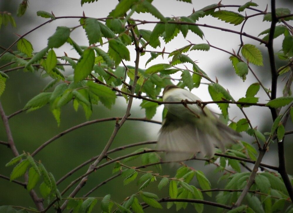 Photograph by Amin Ahani