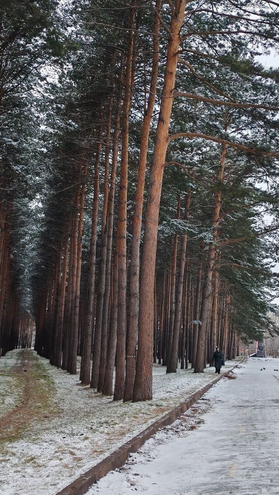 Фотография автора Наталья Шендяпина