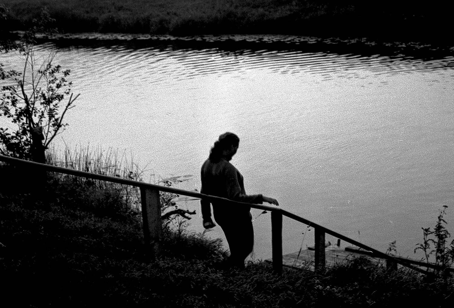 Photo #12828809