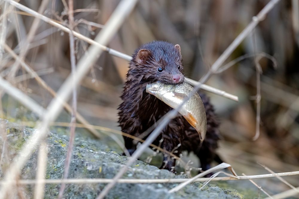Photograph by Абросимов Александр