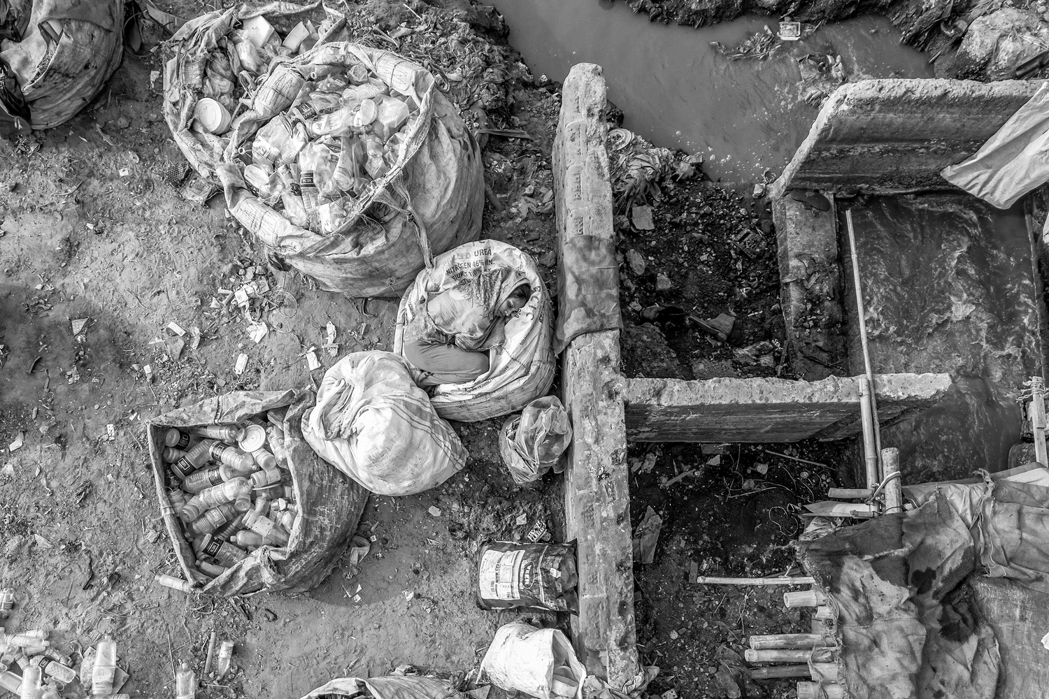 A tale of survival A tale of survival