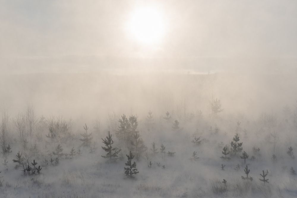 Photograph by Альварис Сукманюк