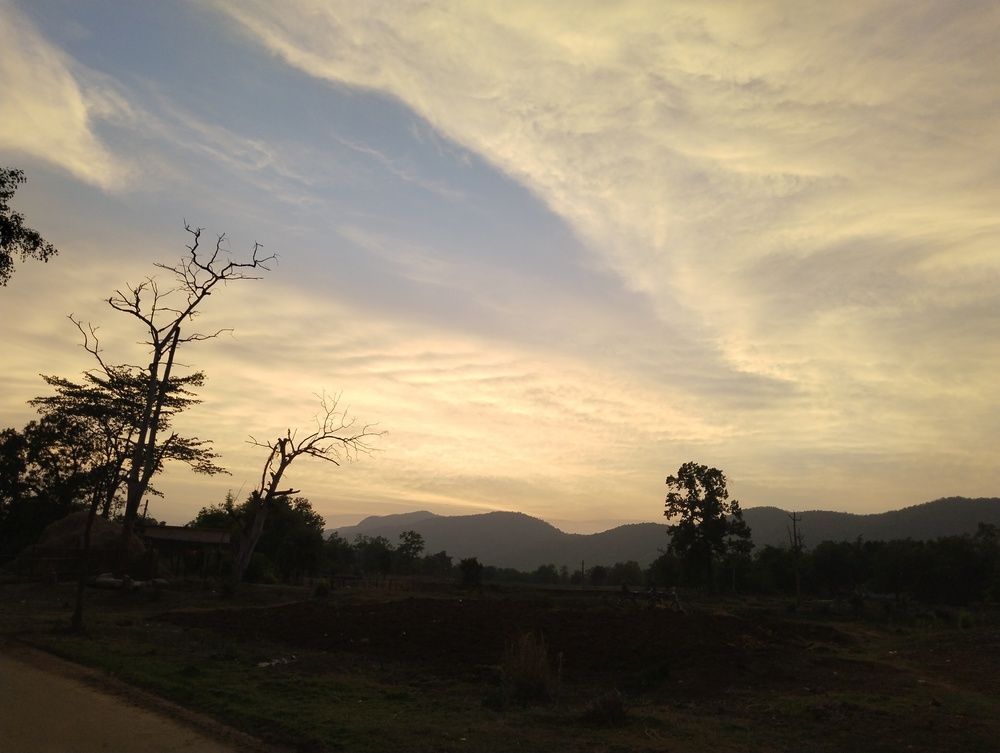 Photo #12828898