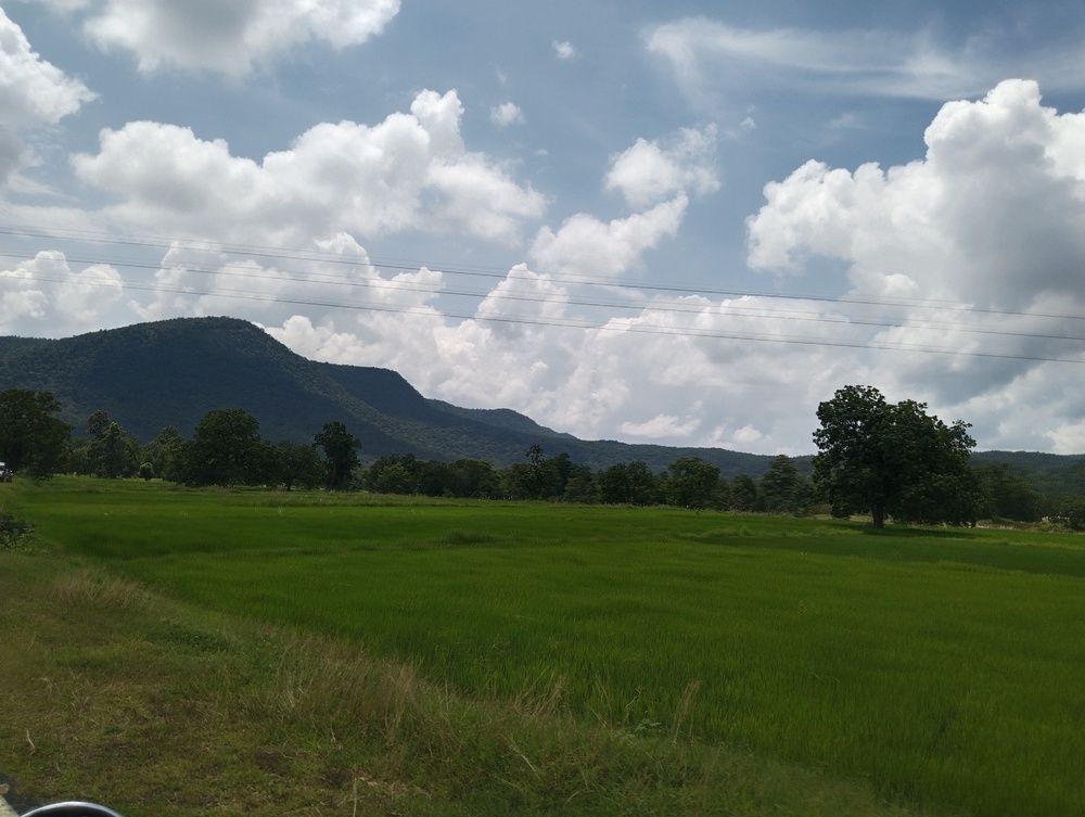 Photo #12828935