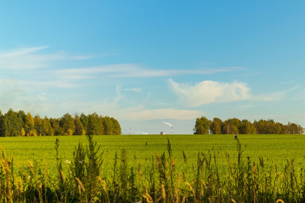 Фотография автора Aamoda Kitchen