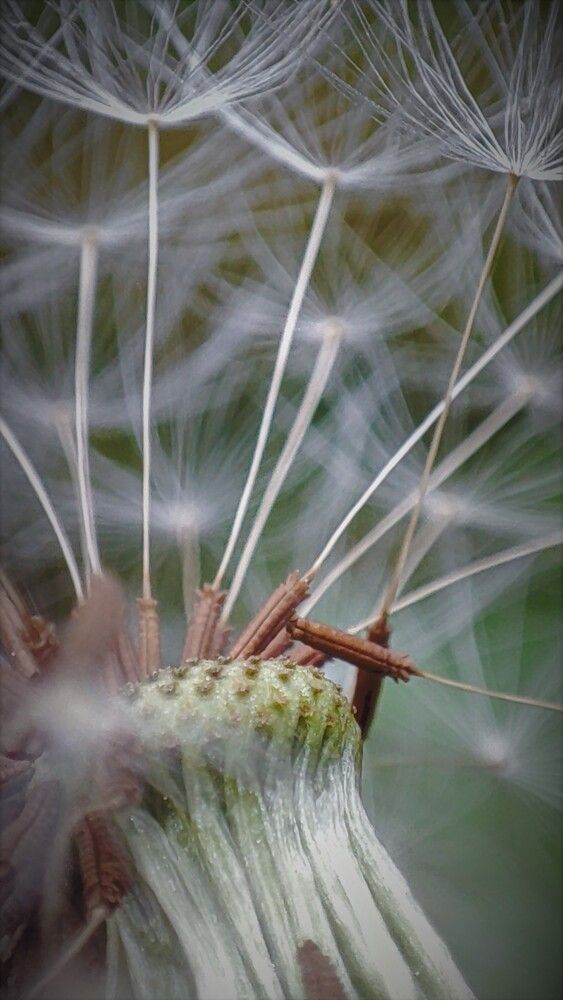 Photograph by Amin Ahani