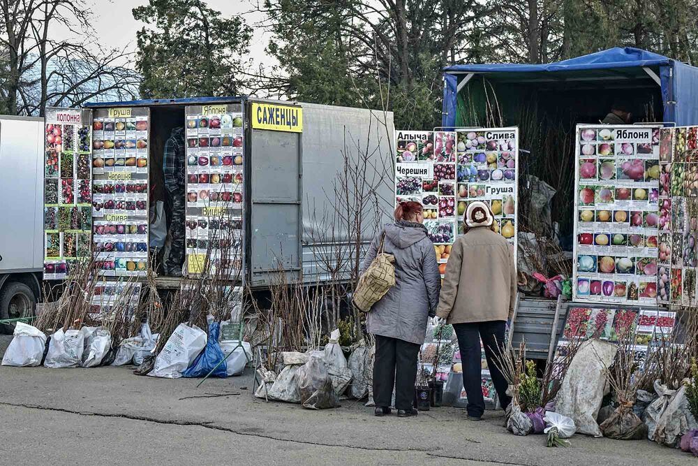 Photograph by Евгений Киселев