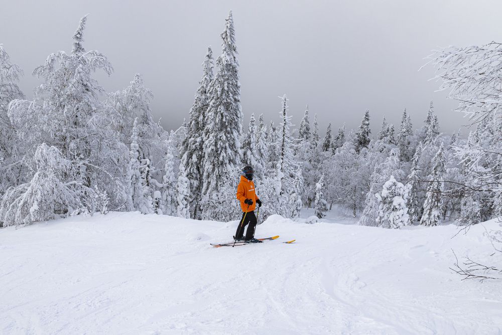 Фотография автора Каргин Валерий
