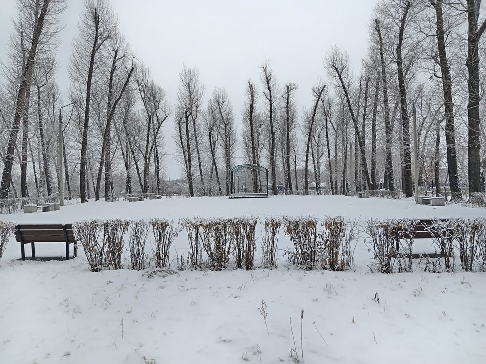 Photo #12829440