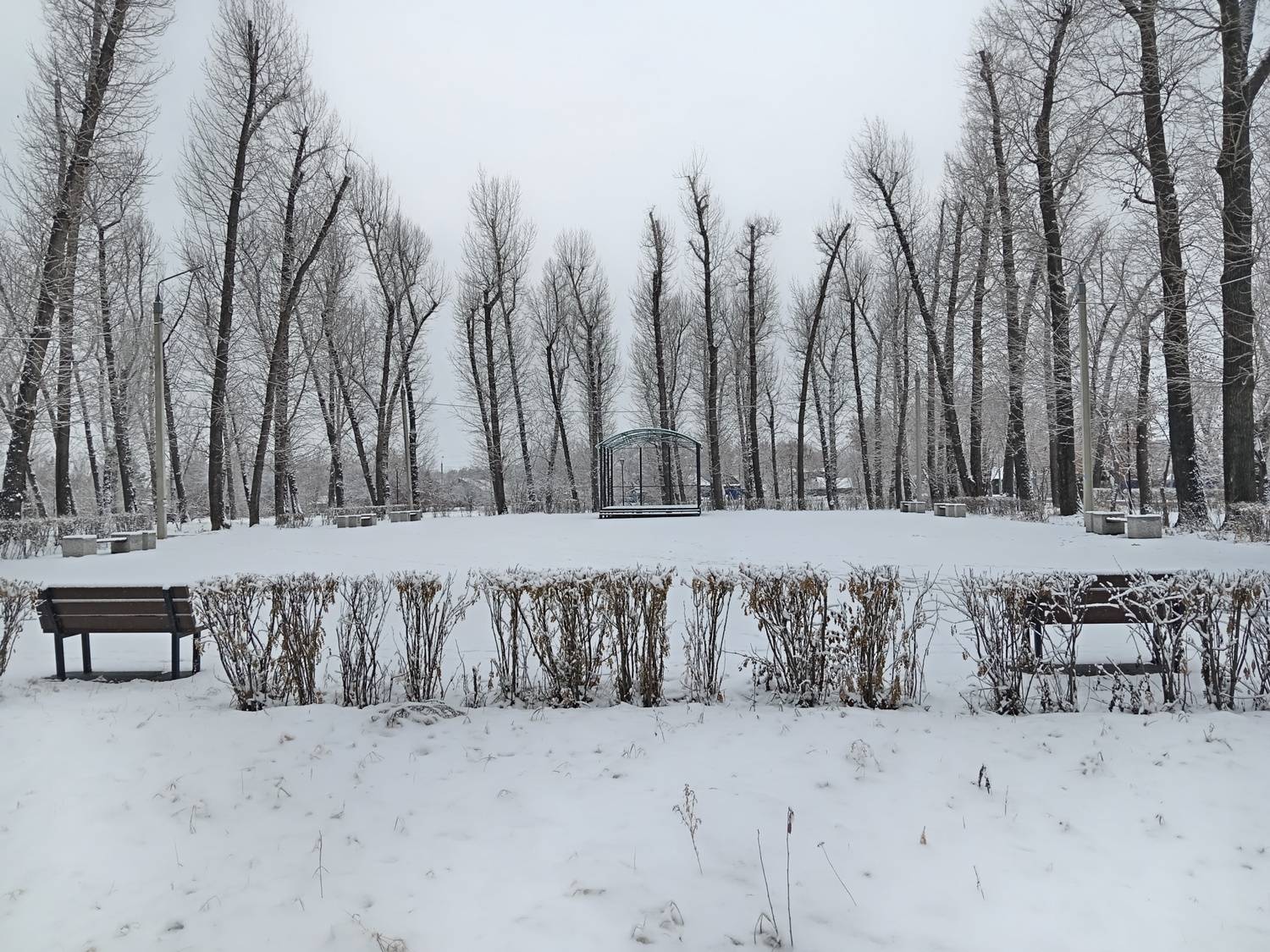 Photo #12829440
