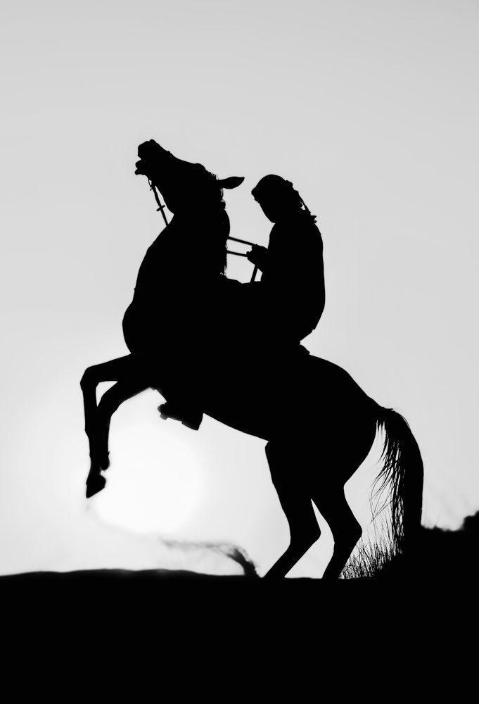 Photograph by Hadine elsaadi