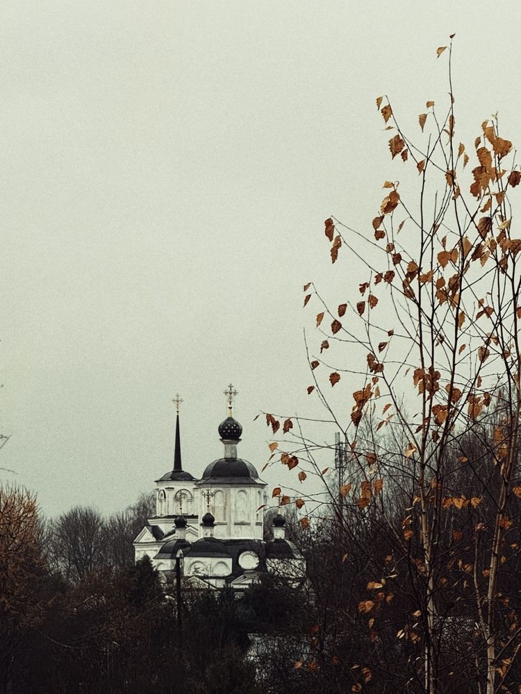 Photograph by Светлана Родионова