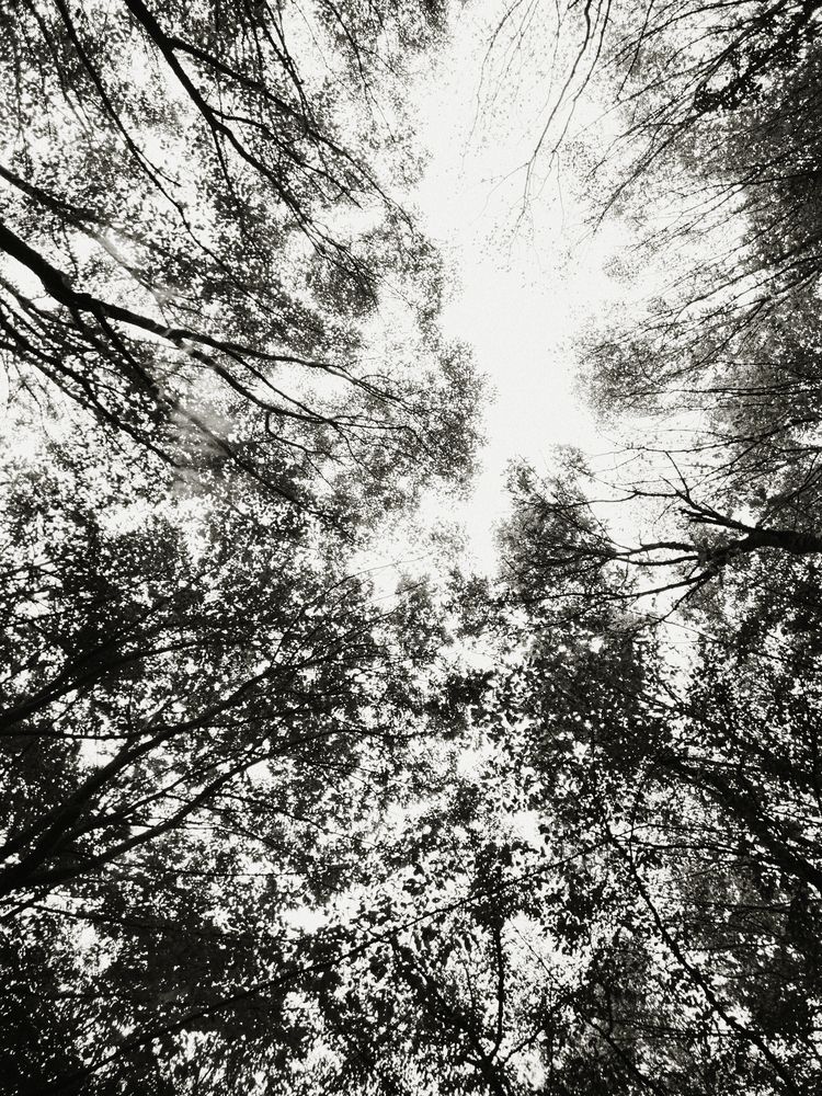 Photograph by hadi kahveci