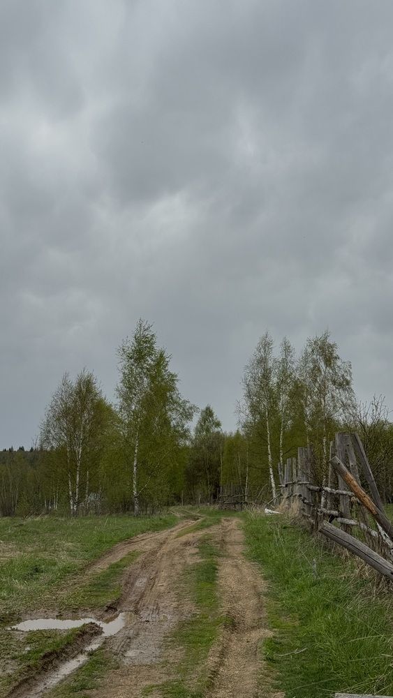 Photograph by Светлана Родионова