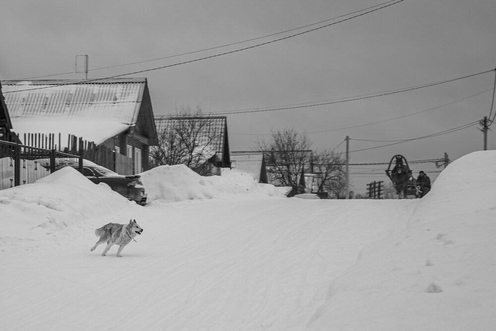 Photograph by Вера Олина