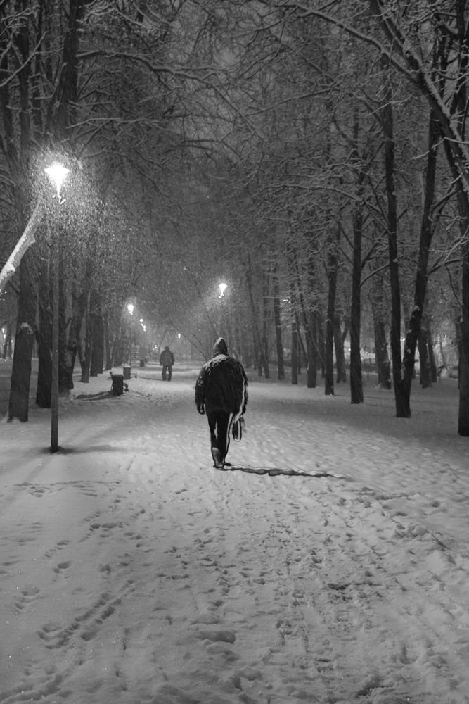 Photograph by Ирина Садовникова