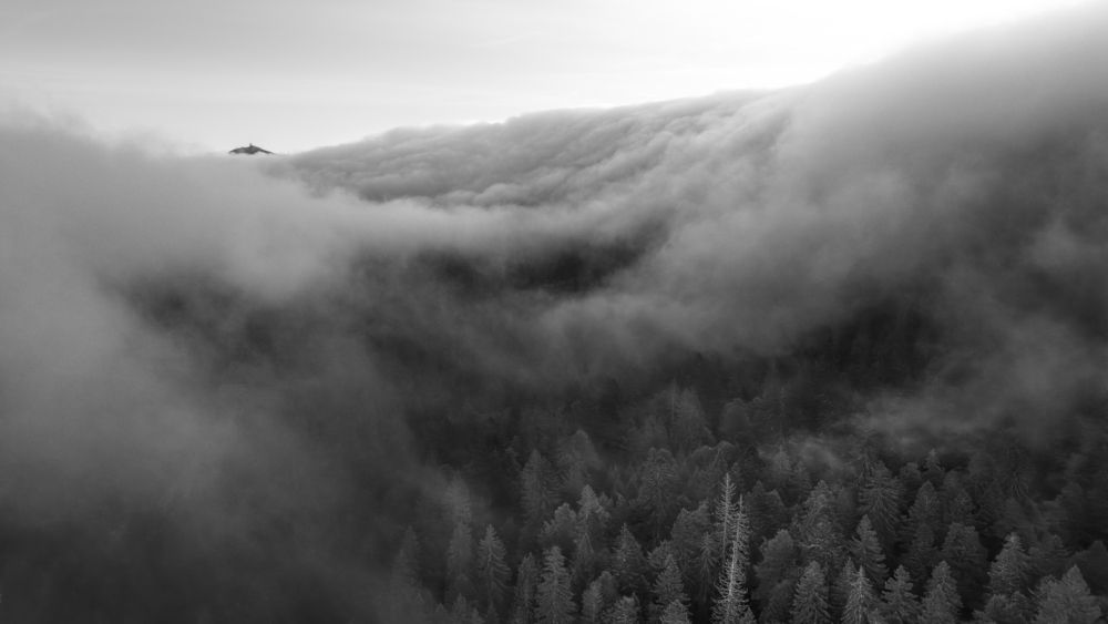 Photo #12829746