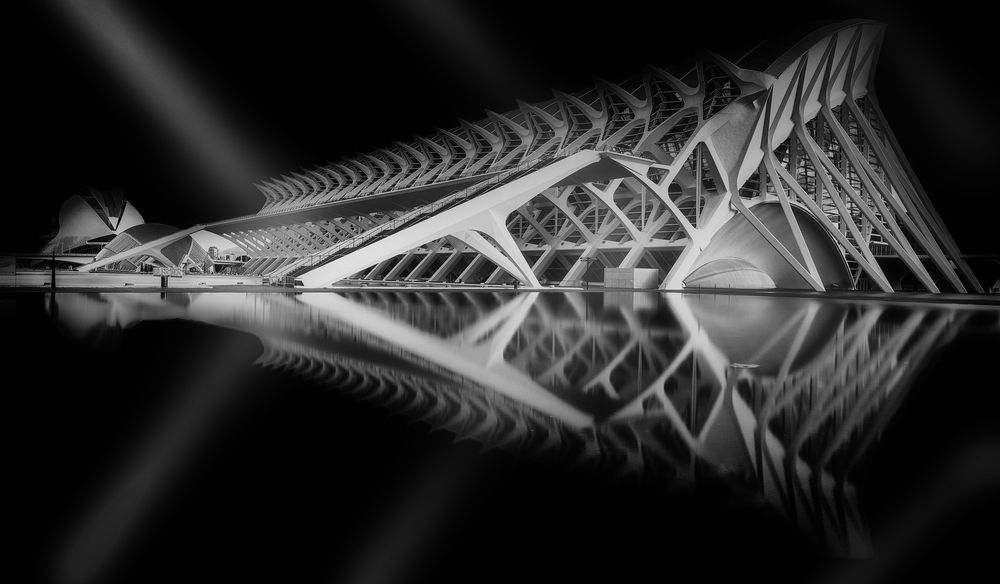 Photograph by Camacho Anto