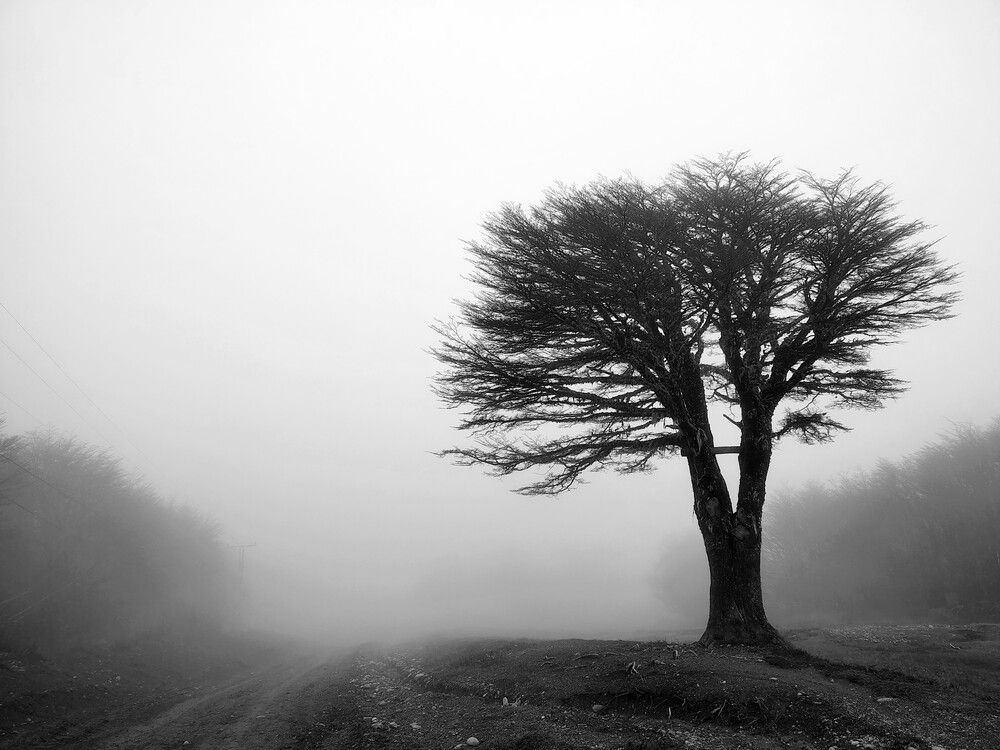 El Solitario