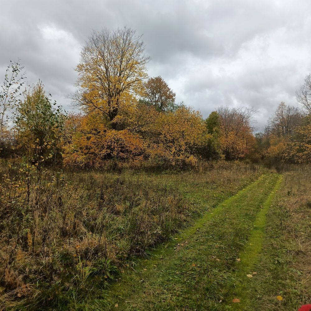 Photo #12829868