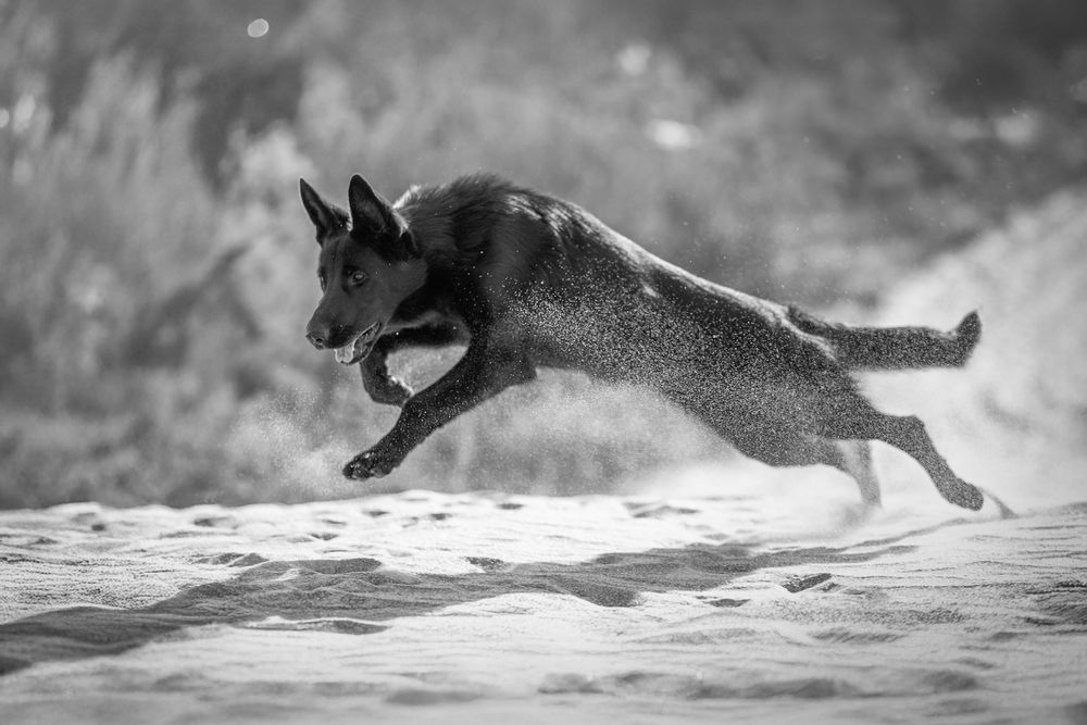 Photograph by Наталья Орел