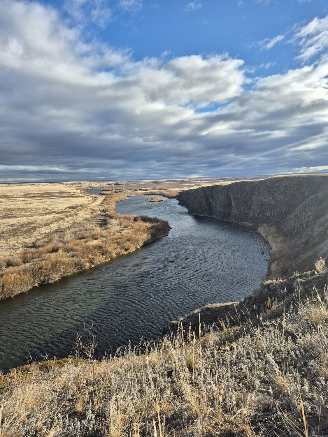 Photo #12829894