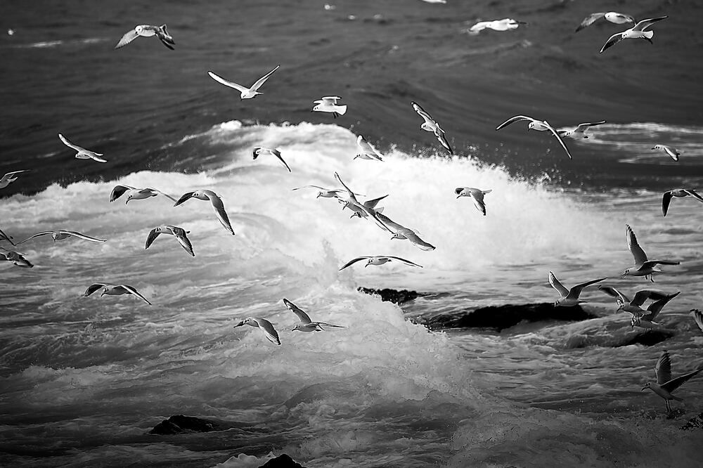 Photograph by Константин Громов