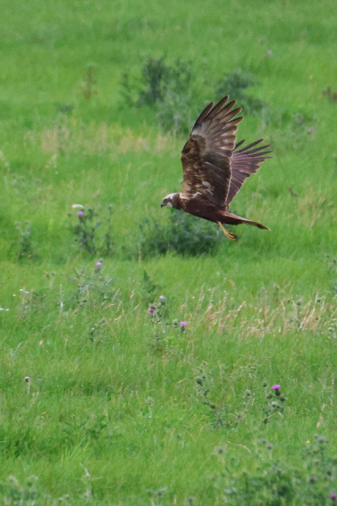 Photograph by Evgenia Korchagova