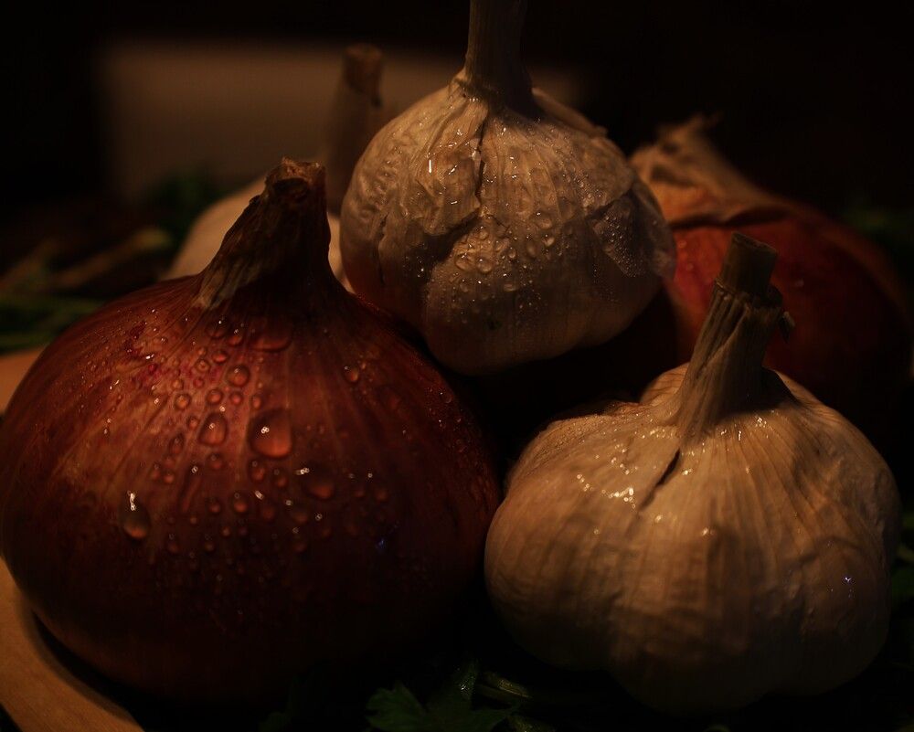 Photograph by G GOVIL