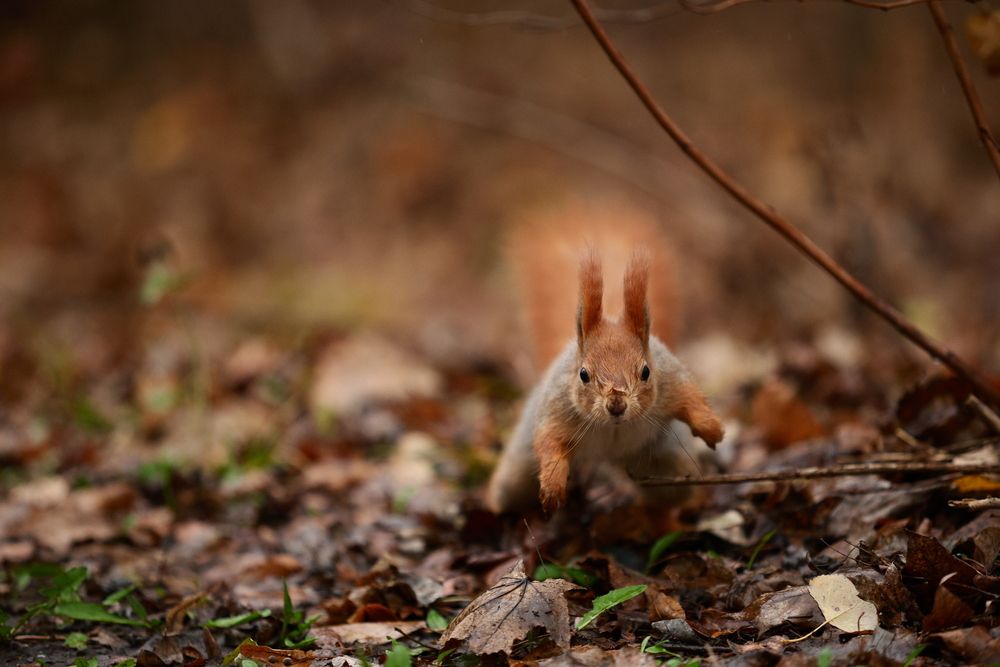 Photograph by Иван Безрядин