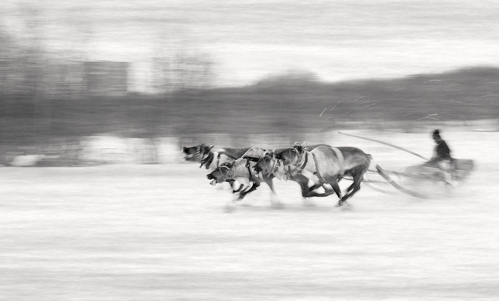 Умчи меня олень.