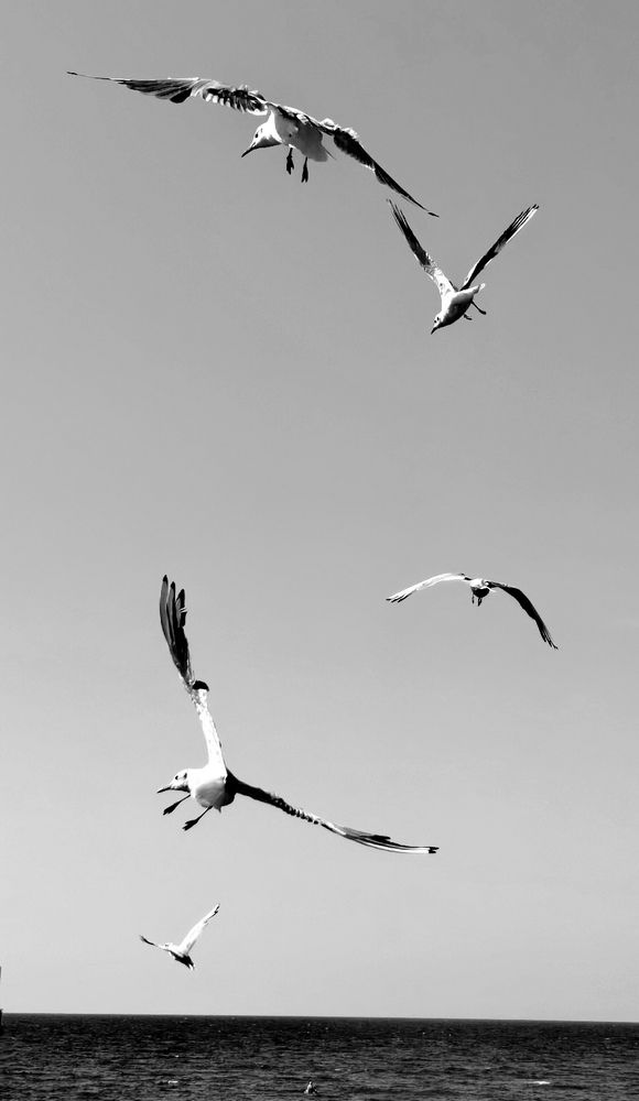 Photograph by Елена