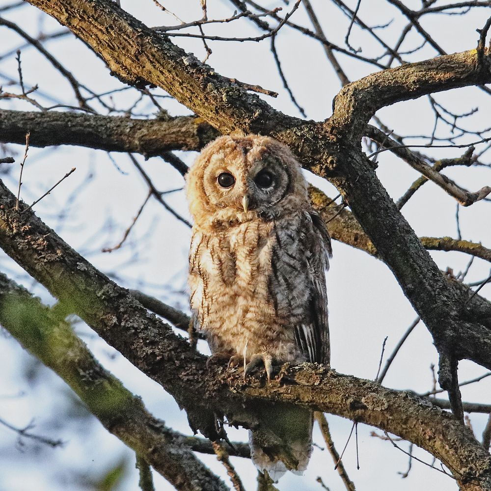 Фотография автора Дмитрий Маккеев