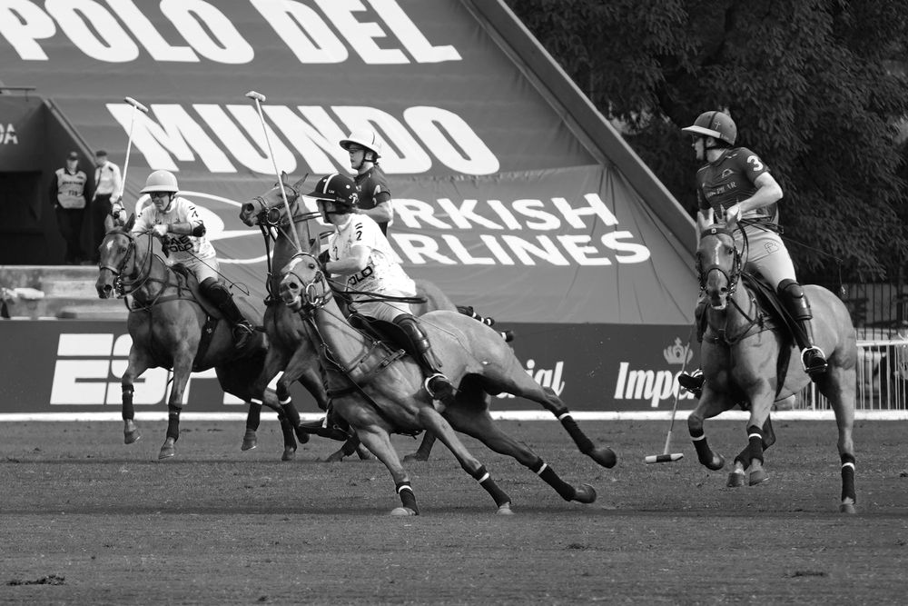 Photograph by Anna Perevozchikova