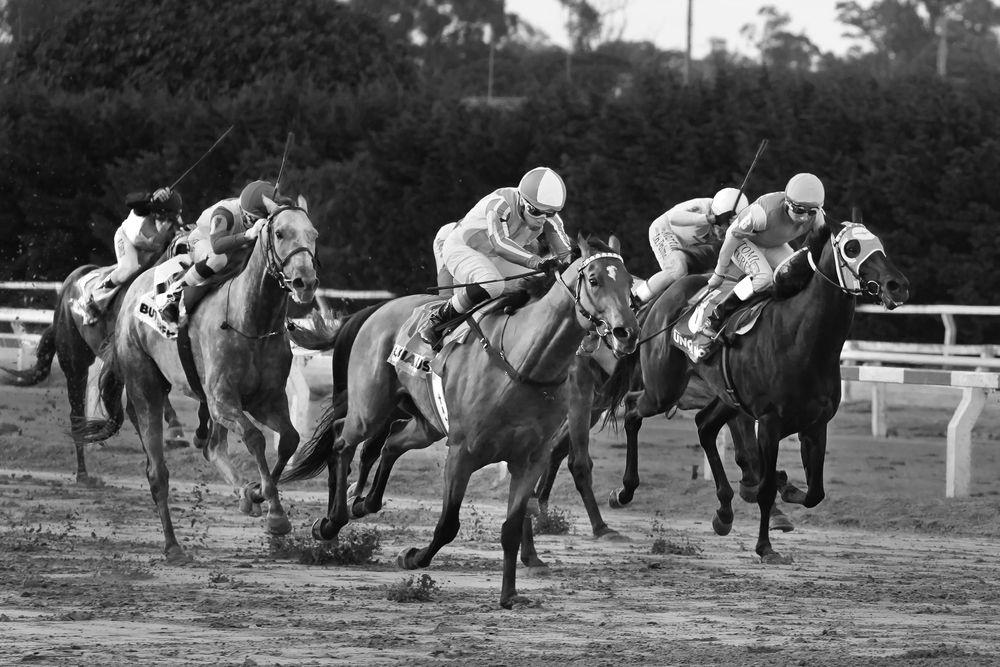 Photograph by Anna Perevozchikova