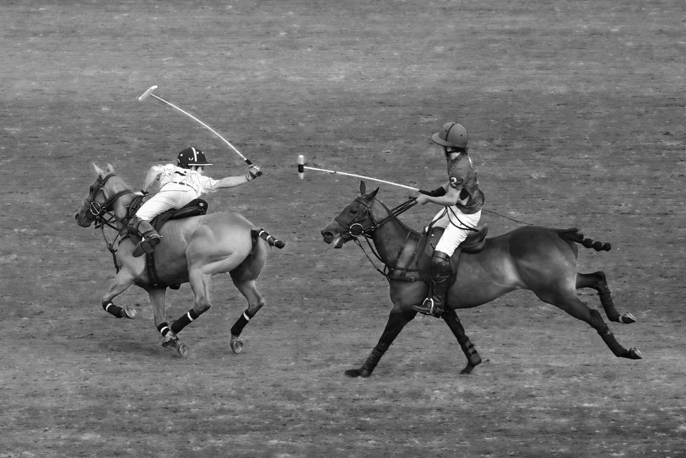 Photograph by Anna Perevozchikova