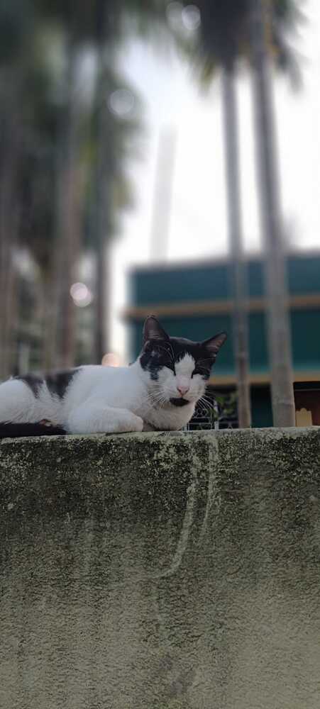 Photograph by Shounak Maji