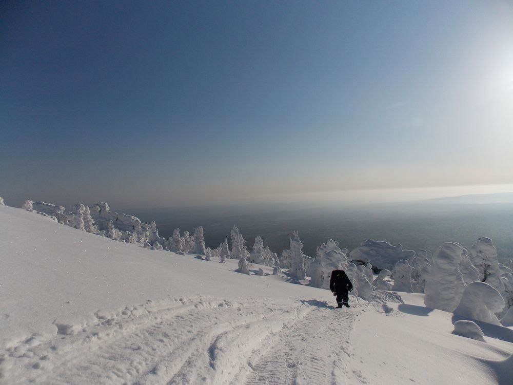 Фотография автора Алексей Власов