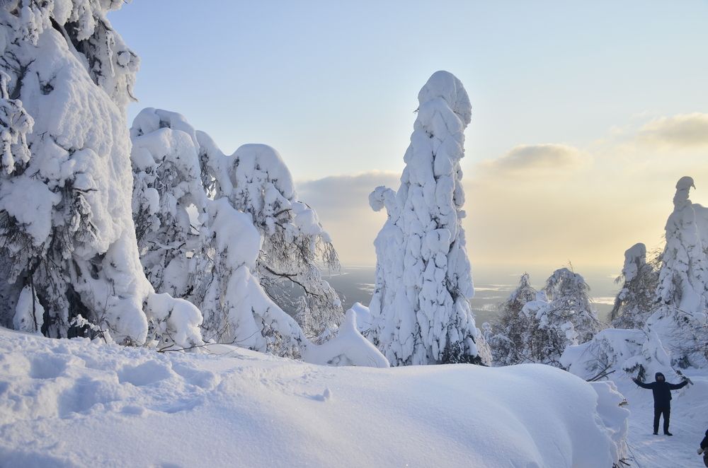 Фотография автора Алексей Власов