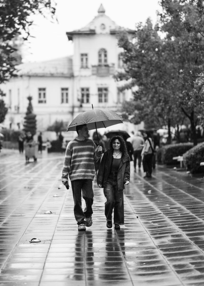 Photograph by Soheil Shahbazi