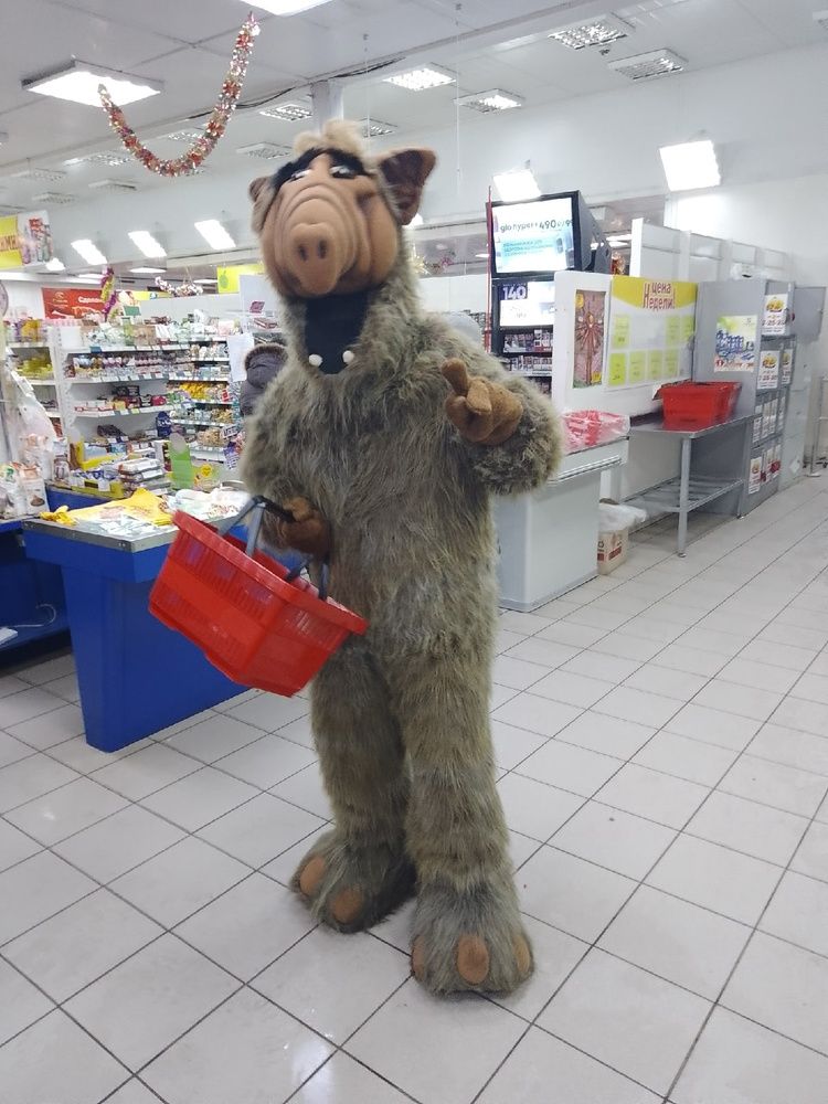 Photograph by Анастасия