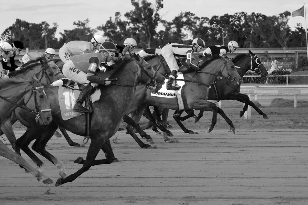 Photograph by Anna Perevozchikova