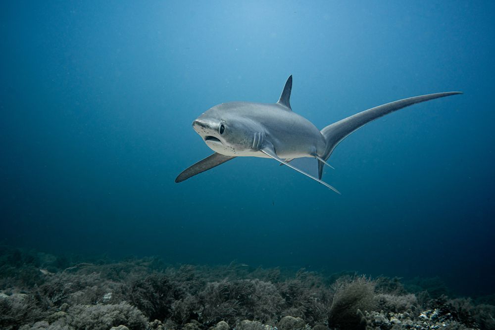 Photograph by JUAN M GUZMÁN