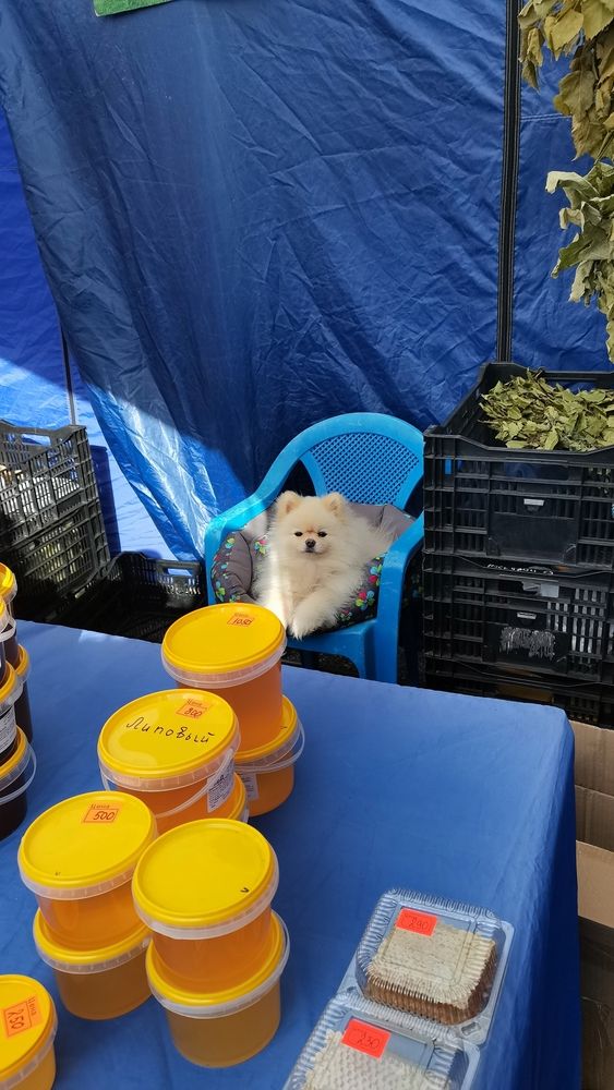 Photograph by Анастасия