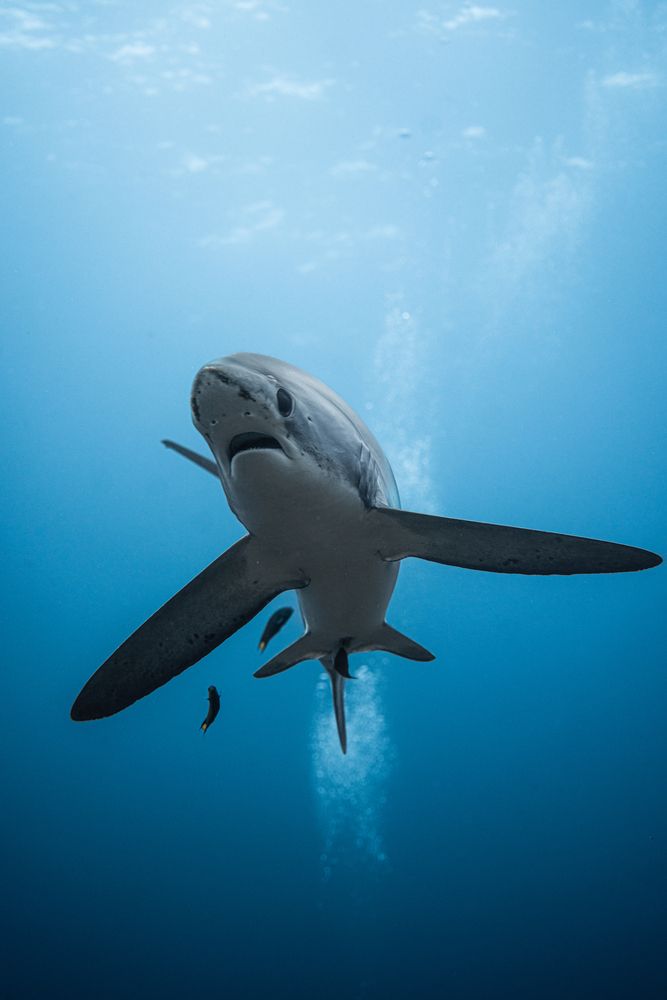 Photograph by JUAN M GUZMÁN