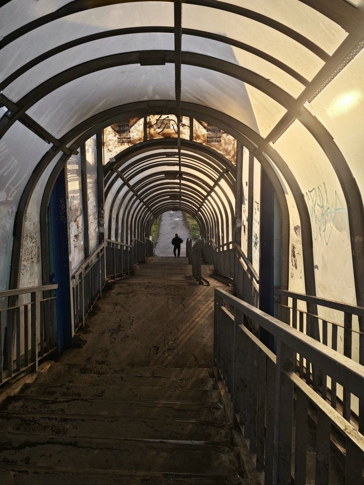 Фотография автора Александра Исаева